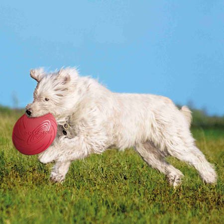 Gumowe frisbee dla psa z kauczuku 18 cm