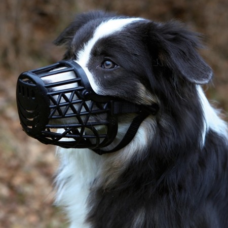 Plastikowy, czarny kaganiec dla psa