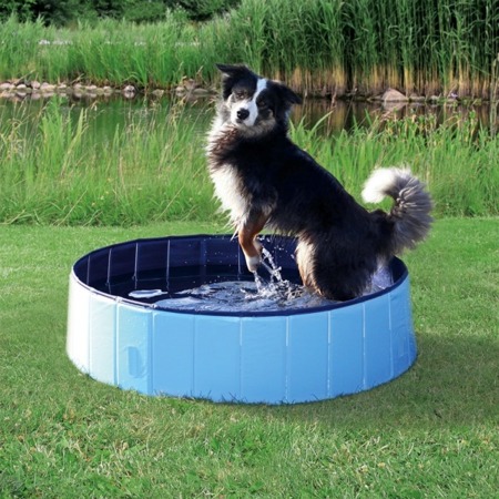Pokrywa do małego basenu dla psa Osłona na basen dla psów 80cm