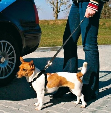 Smycz samochodowa do pasów bezpieczeństwa dla małych psów 20 mm/30-45 cm