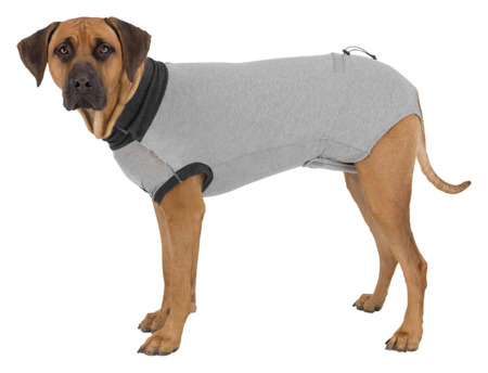 Ubranie pooperacyjne dla psa