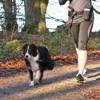 Zestaw Pas biodrowy i Smycz z amortyzatorem do biegania z psem